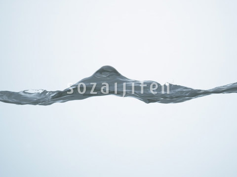 �g