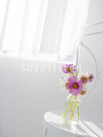 �R�X���X�ƃX�J�r�I�T