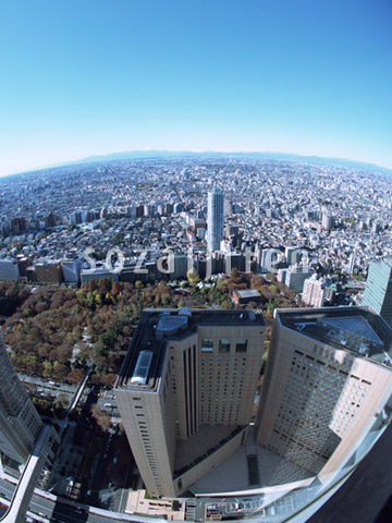 �s�S����̒���