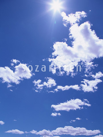 ��Ƒ��z