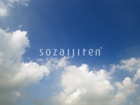 ��Ɖ_