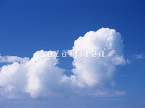 ��Ɖ_