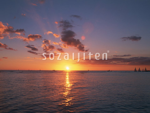 �C�Ƒ��z
