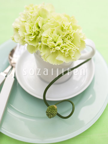 �J�[�l�[�V�����ƐH��