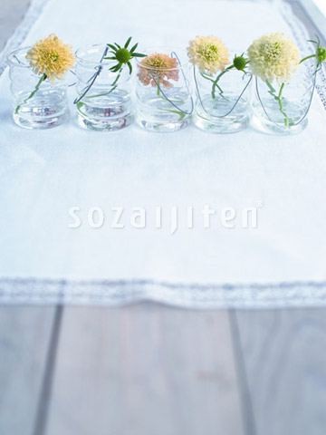 �X�J�r�I�T�ƃO���X