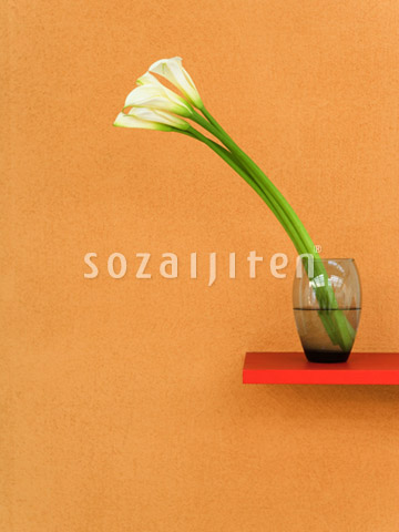�J���[