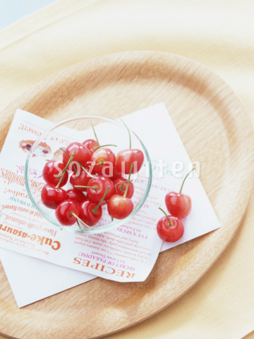 �T�N�����{