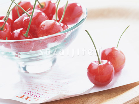 �T�N�����{