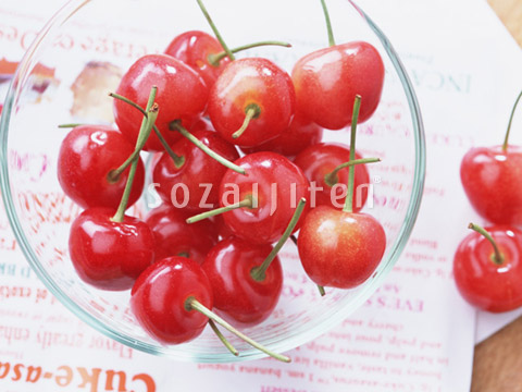 �T�N�����{