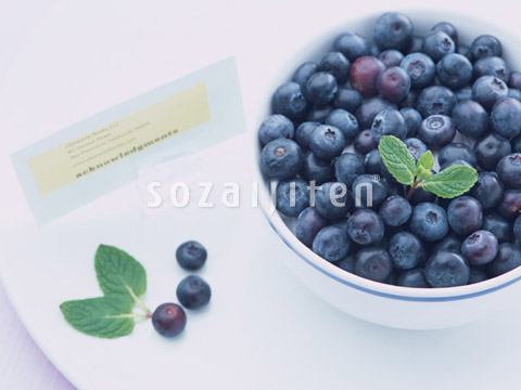 �u���[�x���[