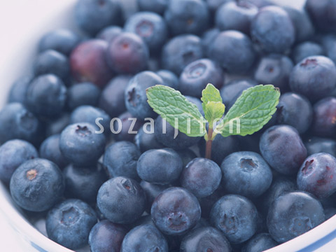 �u���[�x���[
