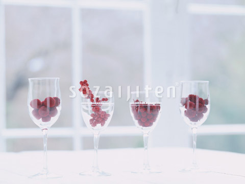 ���C���O���X�ɓ������؂̎�