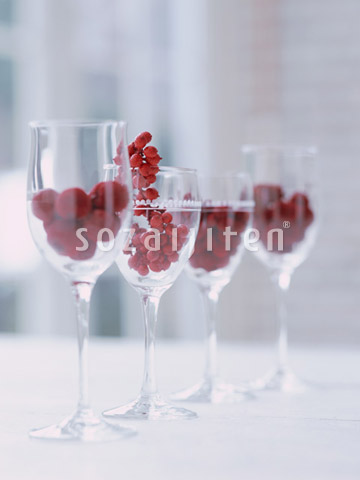 ���C���O���X�ɓ������؂̎�