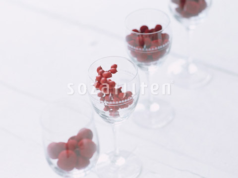 ���C���O���X�ɓ������؂̎�
