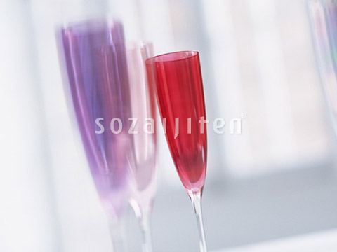 �V�����p���O���X