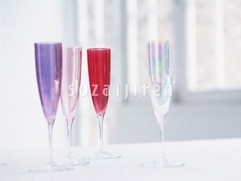 �V�����p���O���X
