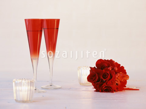 �V�����p���O���X�Ɖԑ�