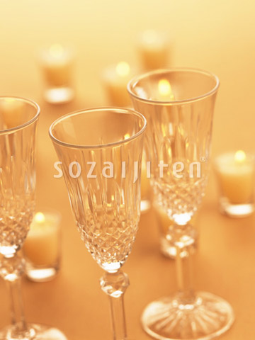 �V�����p���O���X
