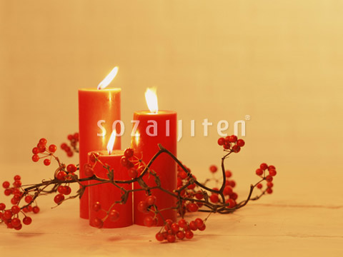 �L�����h���ƃT���L���C