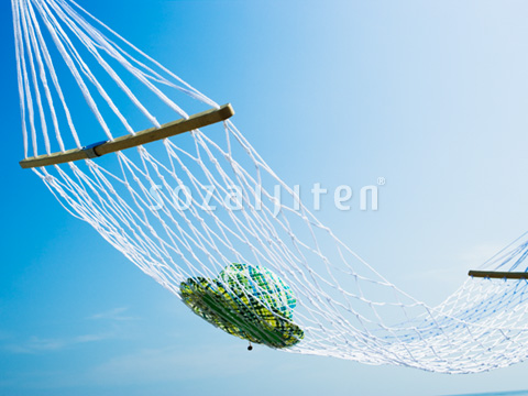 �n�����b�N�ƖX�q