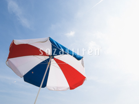 �r�[�`�p���\��