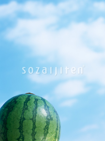 �X�C�J�Ɛ�