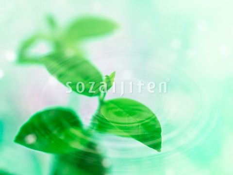 �t�Ɣg��