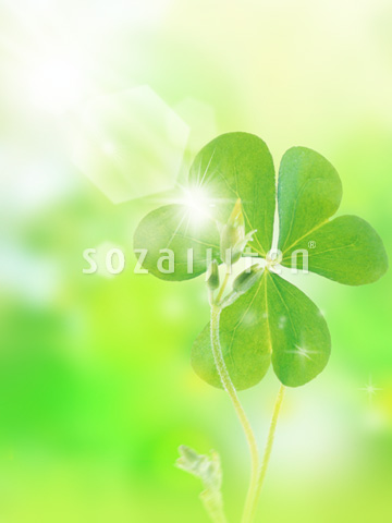 �J�^�o�~�Ɠ�����