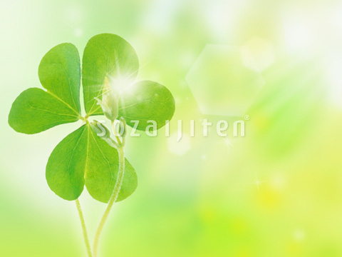 �J�^�o�~�Ɠ�����