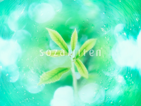 �t�Ɛ��H