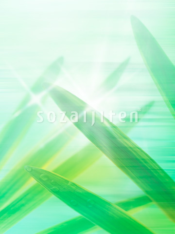 �t�Ɛ��H