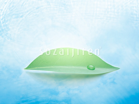 �t�Ɛ��H