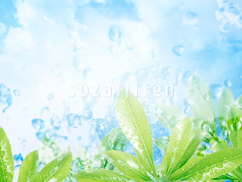 �t�Ɛ��H