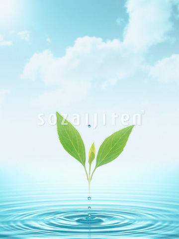 �t�Ɣg��