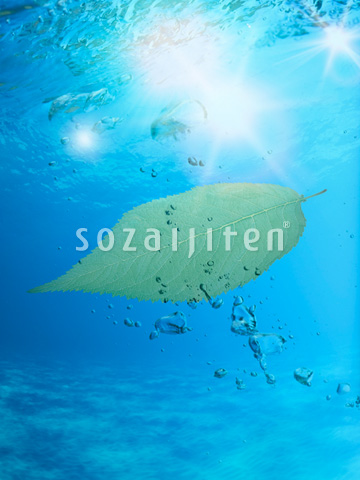 �t�Ɛ�