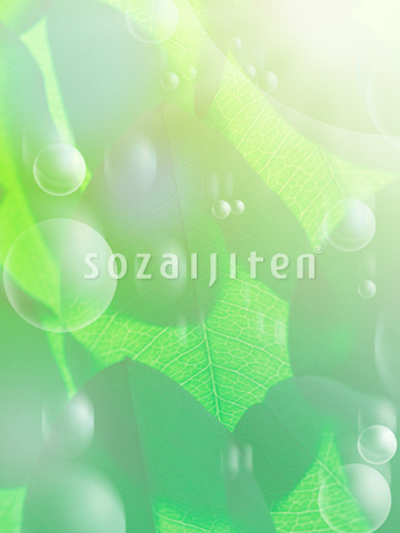 �t�ƃV���{����