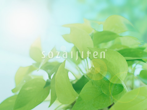 �t�Ɠ�����