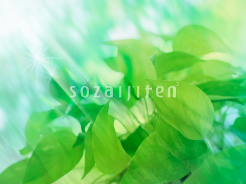 �t�Ɠ�����