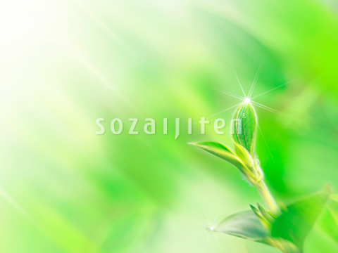��t