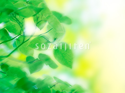 �t�Ɠ�����