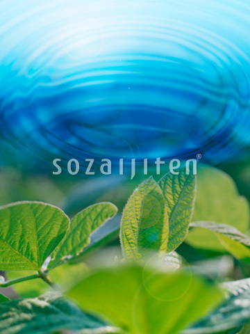 �t�Ɣg��