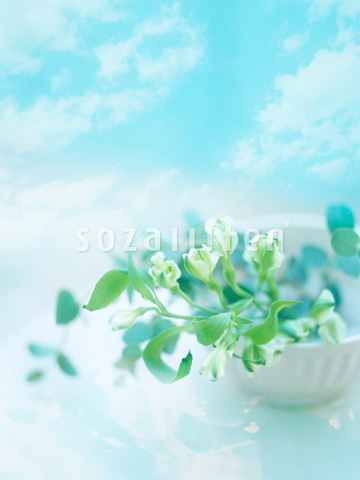 �A���X�g�������A