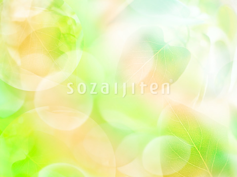 �t�ƌ�