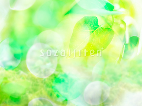 �t�ƌ�