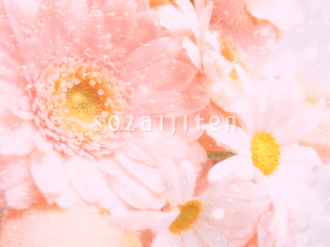 �K�[�x���ƃ}�[�K���b�g