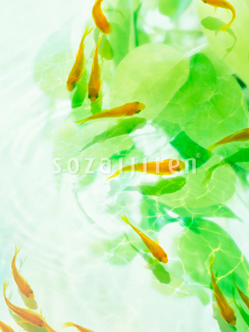 �L���M��