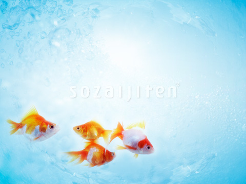 �L���M��