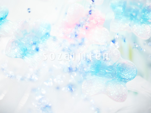 �s���A�C���[�W