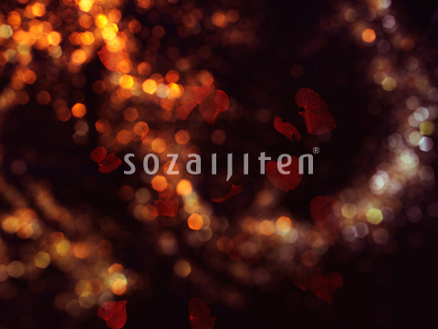 �G���K���g�C���[�W
