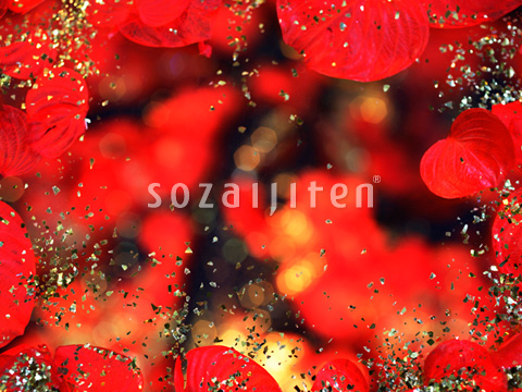 ���O�W���A���[�C���[�W